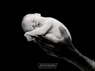 AnneGeddes Wallpaper137800.jpg