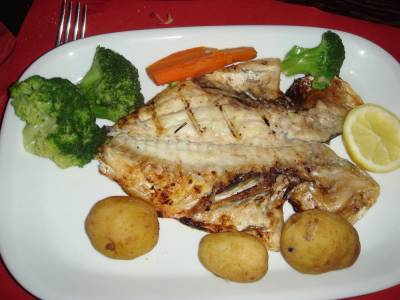 dorada.JPG