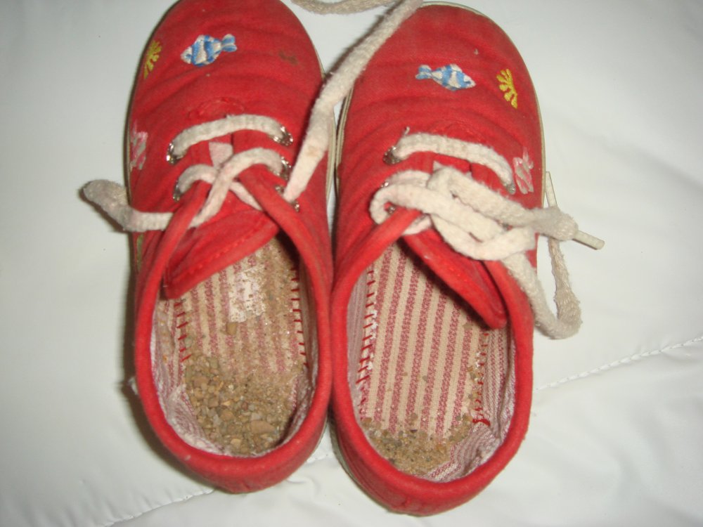 Las Zapatillas Rojas