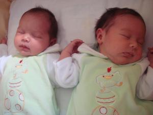 gemelas2