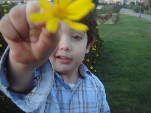 carlosflor