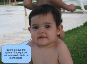 pantallazo-7