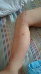 IMG-20140616-WA0000